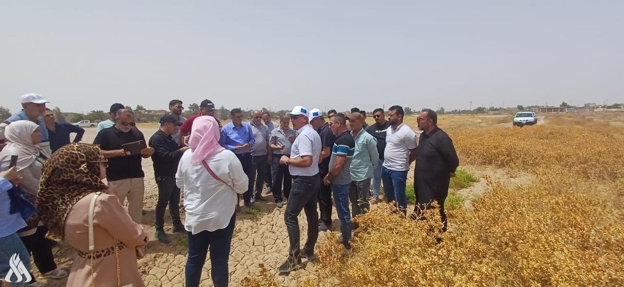 زراعة البصرة تحدد فوائد زراعة نبات العصفر