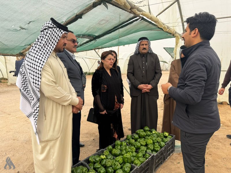 وزيرة زراعة الإقليم من البصرة: منعنا استيراد الطماطم لحماية الإنتاج المحلي بالجنوب